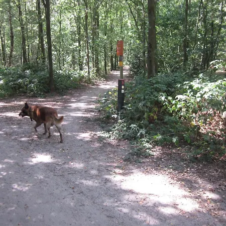 Huize アパート *